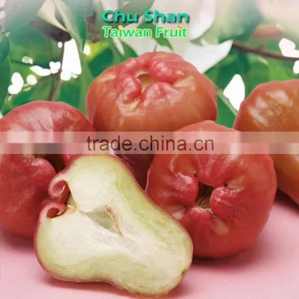 Best Quality FreshWax Apple photo-4