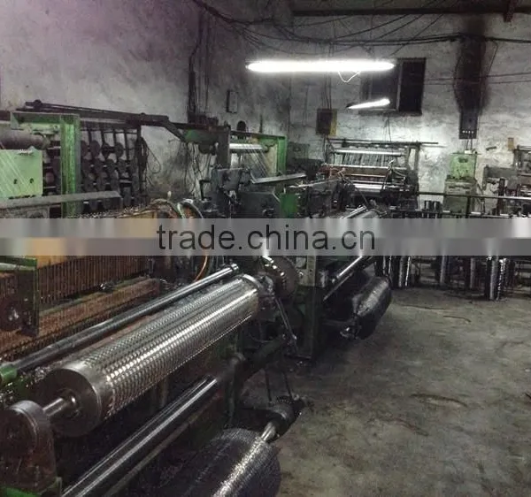 1/2 Inch Galvanized Welded Wire Mesh, Roll Price, for Sale photo-2