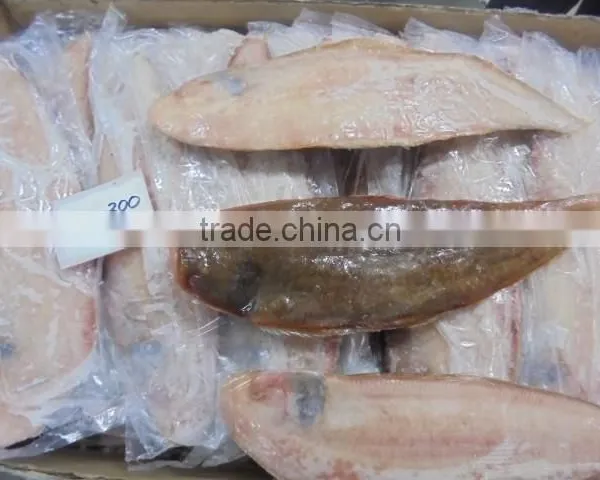 FROZEN SOLE FISH photo-2