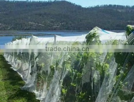 (20 Years Shanghai Factory) Hot Selling , New Arrival, Floriculture HDPE Vineyard Net on Semillon Vine , 33 GSM / 20101-33 photo-4