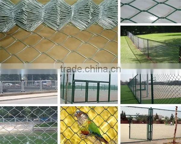 China Supplier Woven Wire Mesh Application and Chain Link Mesh Type Chain Link Fence photo-4