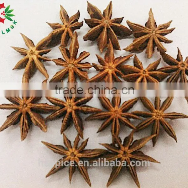 Spice/ Organic Star Aniseeds photo-2