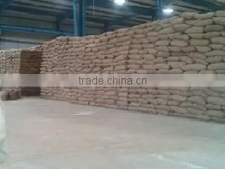 Yellow corn in bulk / Animal feed Corn in bulk for sale