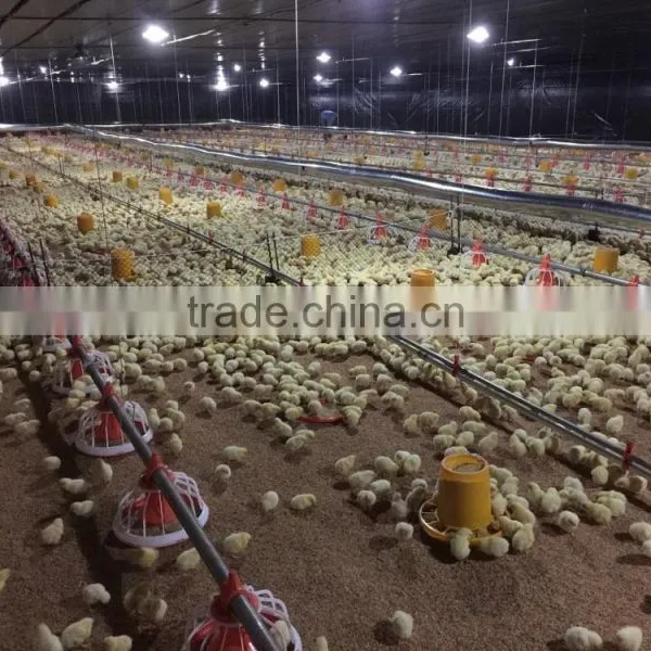 Automatic Breeder Farm Equipment photo-6