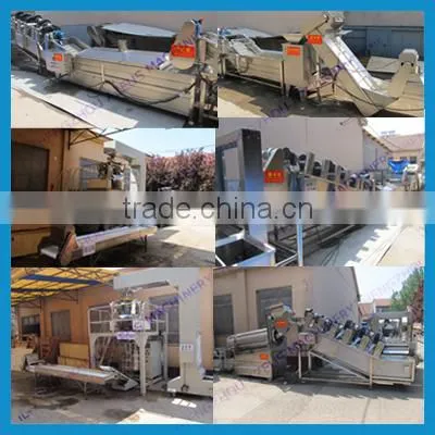 Full Automatic Frozen French Fries Maker/potato Chips Processing Machine photo-3