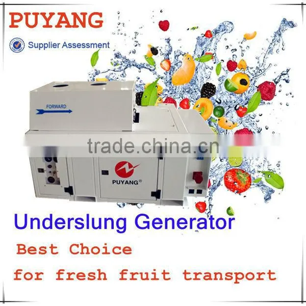 Container Used Underslung 16kw Generator for Reefer for Fresh Seafood photo-3