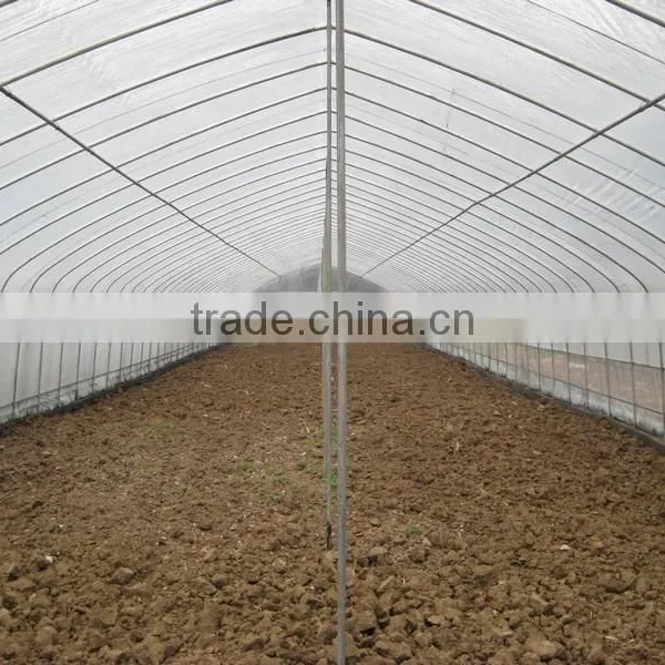 Simple Structure Tunnel Greenhouse For Vegetables/Flowers/Fruits photo-3