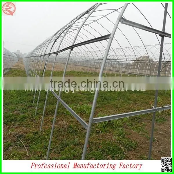 Plastic Multi-span/single-span Greenhouse for Plant Growing With Arched Type photo-4