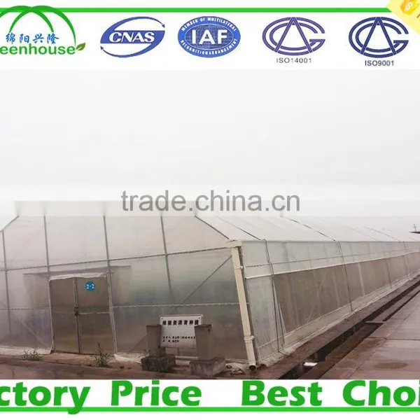 High Quality Geodesic Dome Greenhouse for Sale photo-6