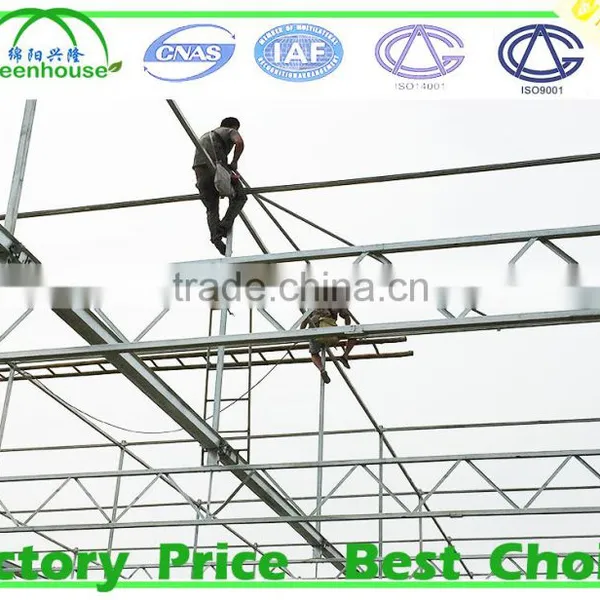Large Size and Glass Cover Material Low Cost Greenhouse photo-5