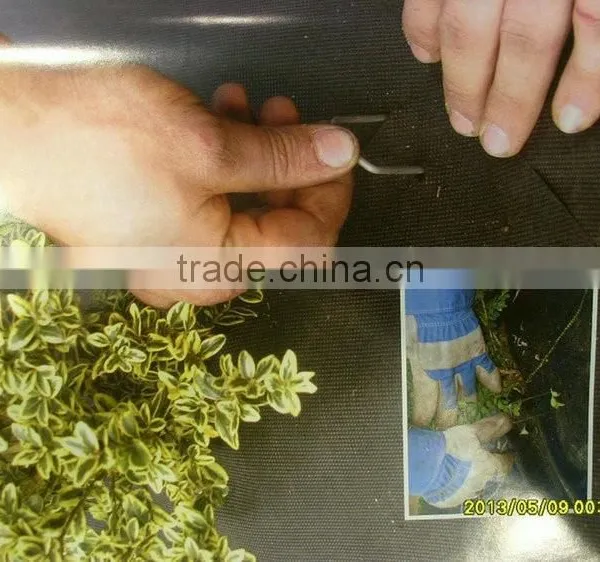 100G/M2 Weed Mats / PP Woven Fabrics photo-4