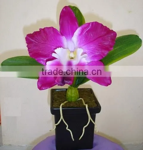 Fabric Flower
