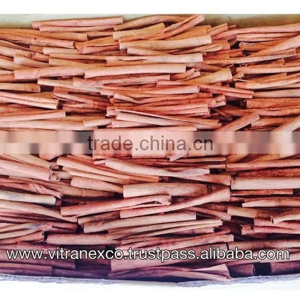 Cinnamomum Quilling photo-3