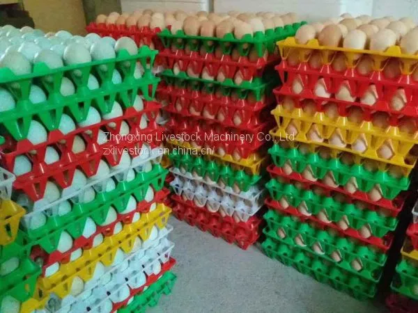 Plastic Egg Tray (chicken Eggs, Duck Eggs, Breeding Eggs) photo-2