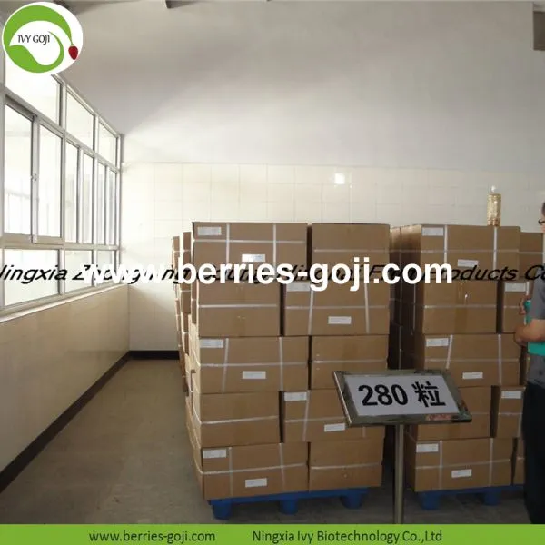 Factory Supply Nutrition Dried Lycium Chinensis photo-5