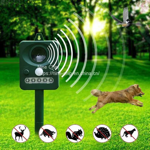Eco-friendly Bedbug Killer Dog Cat Controller With Led Flash Light photo-5
