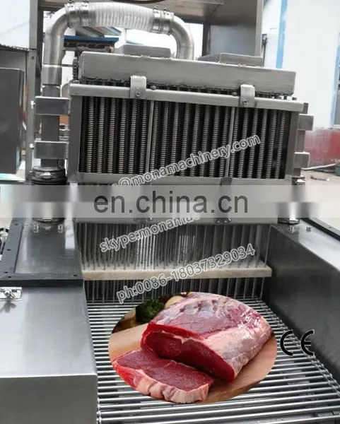 Meat/fish/chicken Saline Injection Machine photo-2