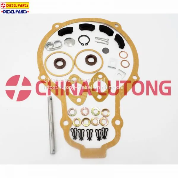 Diesel Engine Injection Pump-bosch Pump Repair Kit 2 417 010 004/800004 for ISUZU photo-4