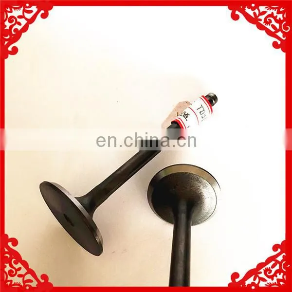 High Quality Intake and Exhaust Engine Valve for Honda Cb125t photo-4