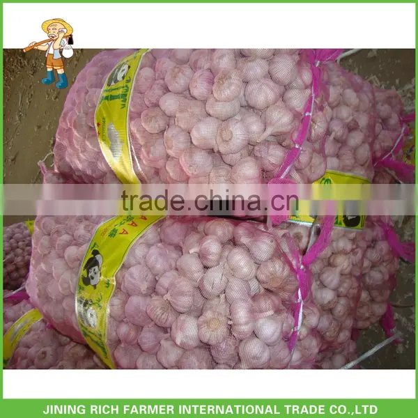 Chinese New Crop Fresh Red Garlic