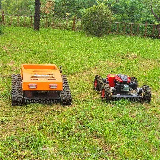 Remote Control Lawn Mower, China Remote Control Mower for Hills Price, rc Mower for Sale photo-2
