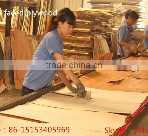 China Plywood for Packing / Plywood for Furniture photo-2