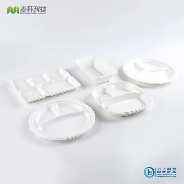 Disposable Biodegradable 10 INCH 3C PLATE Take Away Sugarcane photo-4
