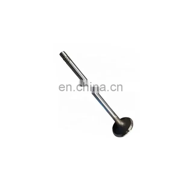 Sinotruk Sitrak China Heavy Duty Truck Engine Spare Parts 200V04101-0546 The Exhaust Valve photo-2
