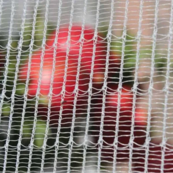 Good Quality Woven Drape Anti Bird Netting Vineyard 10 Years