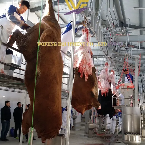 WFA Cattle Slaughtering Equipment Slaughterhouse Device Cow Slaughter Production Line photo-5