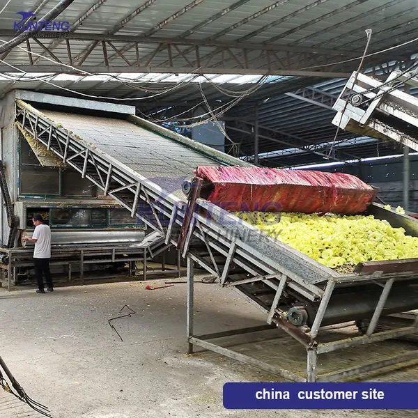 Multi Layer Mesh Belt Mango Slices Coptis Chinensis Rhizoma Polygonati Cowpea Heat Pump Dryer photo-3