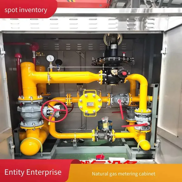 Stainless Steel Natural Gas High and Medium Pressure Regulating Skid, Community Pressure Regulating and Metering Box, Gas Pressure Regulating Cabinet, Supply Rx600