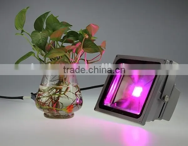 Long Lifespan Rgb Flood Light photo-4