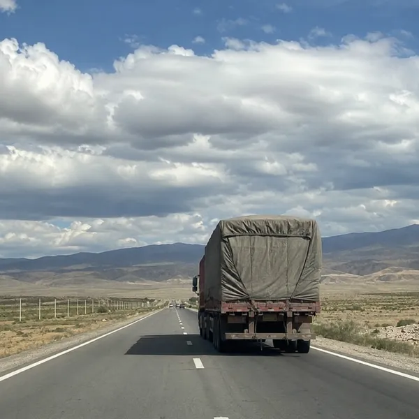 China nach Usbekistan DDP LKW-Transport und Türauftrags-Lieferungsservice photo-4