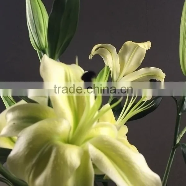 Fashion Yellow King Lilies Flower photo-3