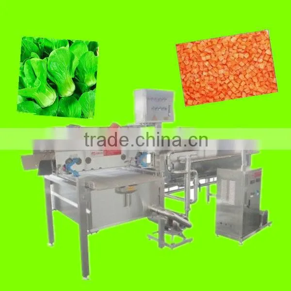 Fruit and Vegetable Salad Cleaning Machine Washing Machine Processing Line High Quality From Colead