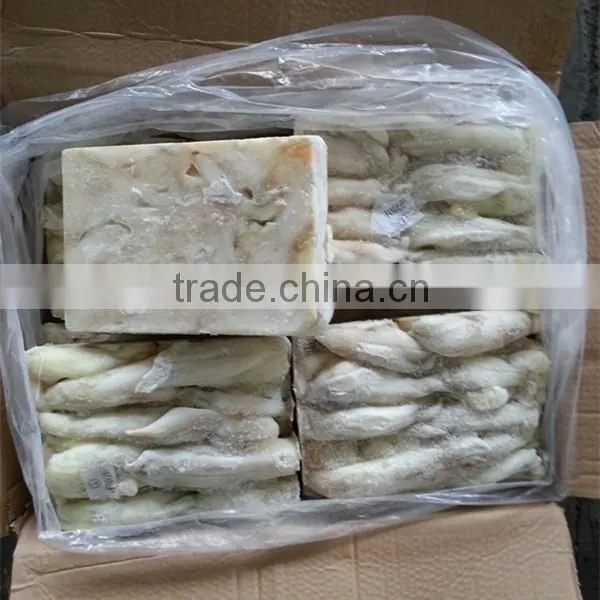 Frozen Illex Roe Squid Argentina Raw Material photo-2