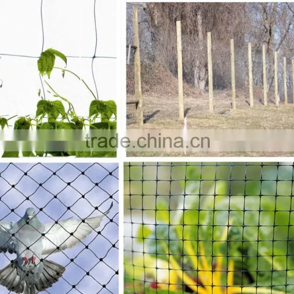 100% PP Plastic Stetching Net for Manufacturing/deer Fence photo-2