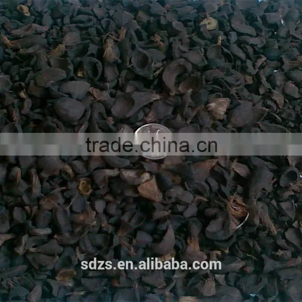 Palm Shell of Kernel for Sale
