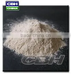 Vital Wheat Gluten 75% (wheat Origin)