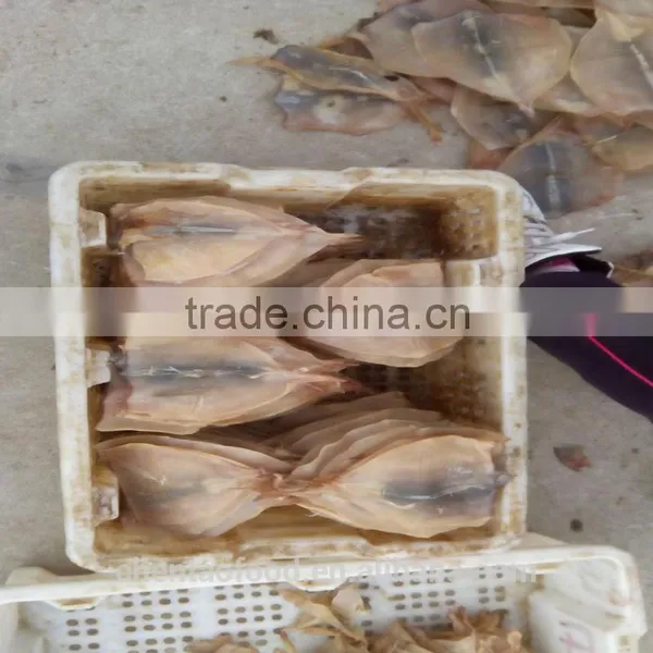 Dried Squids photo-4