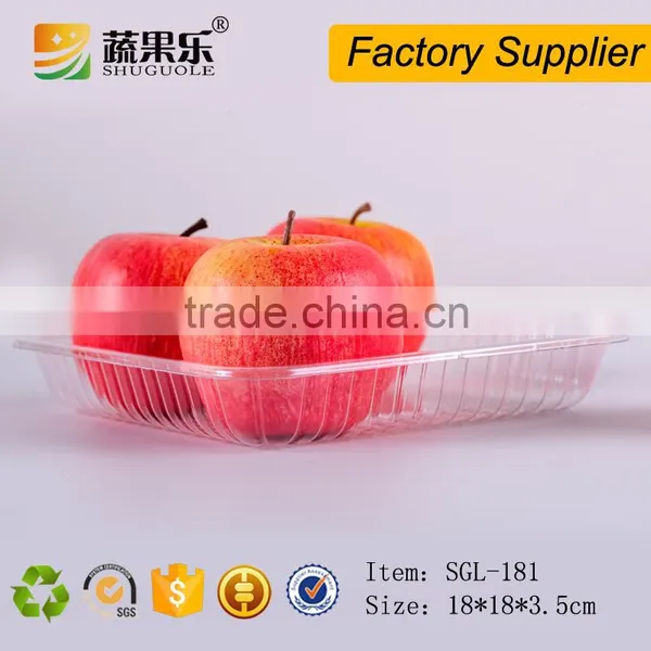 Disposable Clear Blister PET Plastic Tray photo-6