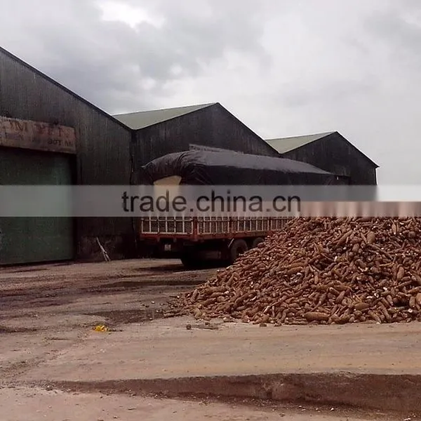 NATIVE STARCH (vilaconicexport@gmail.com) Tapioca Starch photo-4