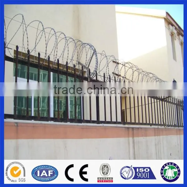 China Supplier Hot Dipped Razor Barbed Wire photo-6