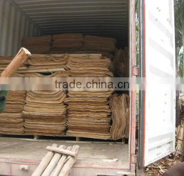 VIETNAM GOOD SHORT CORE VENEER VIETNAM SUPER WOOD photo-2