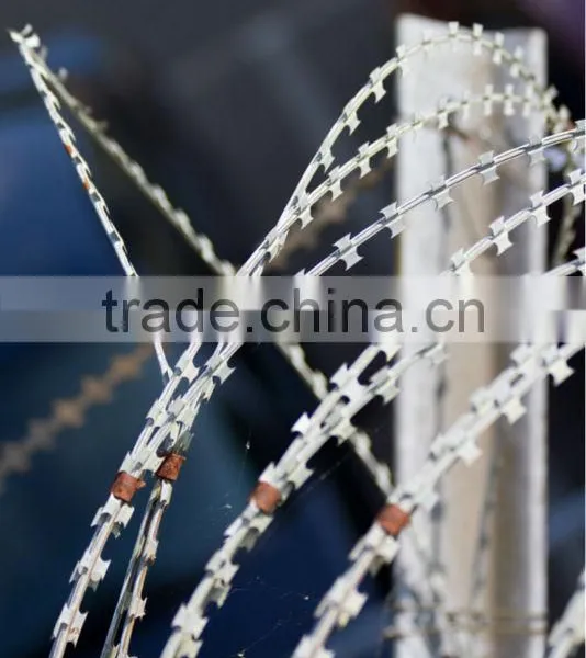 (high Quality)Galvinized Razor Barbed Wire(factory) photo-6