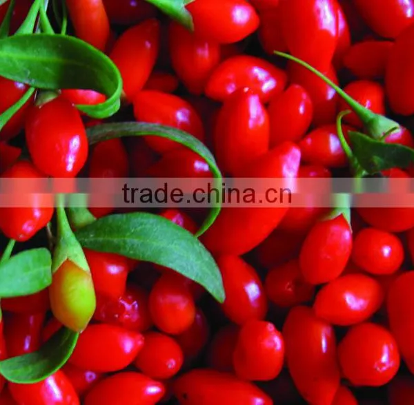 Digital Wolfberry Color Separation Machine in China photo-3