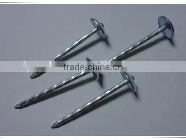 Large Head Roofing Nail China Nail Factory Price From China photo-4