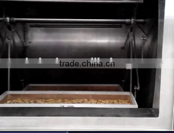 Low Temperature Microwave Vacuum Dryer for Banana Chips photo-3