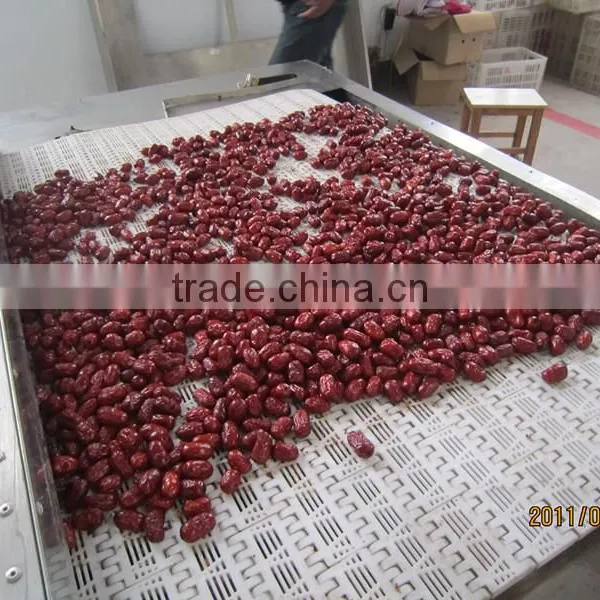 Industrial Tunnel Type Microwave Red Dates Dryer & Sterilizer photo-2